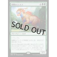 [EX]絢爛なビヒモス/Regal Behemoth《日本語》【CN2】
