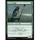 [EX+]イラクサの歩哨/Nettle Sentinel《日本語》【A25】
