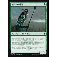 [EX+]イラクサの歩哨/Nettle Sentinel《日本語》【A25】