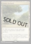 [EX+](OTC)風変わりな果樹園/Exotic Orchard《英語》【Reprint Cards(Secret Lair Commander)】