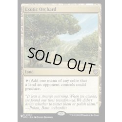 画像1: (OTC)風変わりな果樹園/Exotic Orchard《英語》【Reprint Cards(Secret Lair Commander)】
