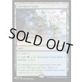 ヤヴィマヤの沿岸/Yavimaya Coast《英語》【Reprint Cards(Secret Lair Commander)】