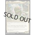 才能あふれる若芽、キリ/Kirri, Talented Sprout《英語》【Reprint Cards(Secret Lair Commander)】