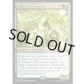 (2XM)復活の声/Voice of Resurgence《英語》【Reprint Cards(Secret Lair Commander)】