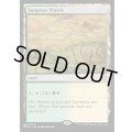 (BLC)サングラスの大草原/Sungrass Prairie《英語》【Reprint Cards(Secret Lair Commander)】