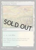 (BLC)サングラスの大草原/Sungrass Prairie《英語》【Reprint Cards(Secret Lair Commander)】