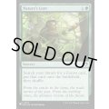 (CMM)自然の知識/Nature's Lore《英語》【Reprint Cards(Secret Lair Commander)】