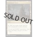 (DSC)統率の塔/Command Tower《英語》【Reprint Cards(Secret Lair Commander)】