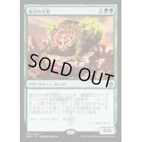 [HPLD]変幻の大男/Protean Hulk《日本語》【A25】
