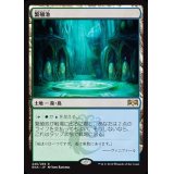 繁殖池/Breeding Pool《日本語》【RNA】