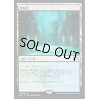 [EX](FOIL)(プロモスタンプ)繁殖池/Breeding Pool《日本語》【RNA】