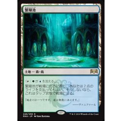 画像1: [EX]繁殖池/Breeding Pool《日本語》【RNA】