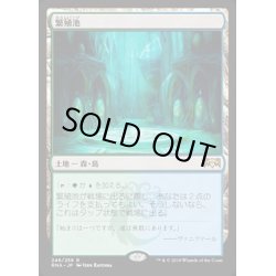 画像1: [EX](FOIL)繁殖池/Breeding Pool《日本語》【RNA】