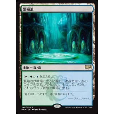 [EX+]繁殖池/Breeding Pool《日本語》【RNA】