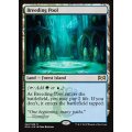 [EX]繁殖池/Breeding Pool《英語》【RNA】