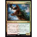 [EX+]荒廃ワーム/Ravager Wurm《日本語》【RNA】