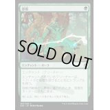 [EX+]怨恨/Rancor《日本語》【A25】