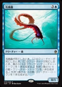 [EX+]浅瀬蟲/Reef Worm《日本語》【A25】