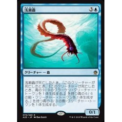 画像1: [EX+]浅瀬蟲/Reef Worm《日本語》【A25】