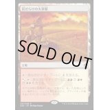 [PLD]岩だらけの大草原/Rugged Prairie《日本語》【A25】