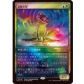 (FOIL)(0049)超能力蛙/Psychic Frog《日本語》【SCH】