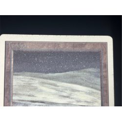画像4: [PLD]Tundra《英語》【2ED】#219