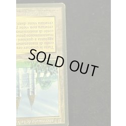 画像8: [PLD]The Tabernacle at Pendrell Vale《イタリア語》【LEG】#247