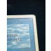 画像11: [HPLD](インク)Time Walk《英語》【2ED】#252