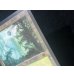 画像10: [EX+]森/Forest《英語》【Guru Lands】#255