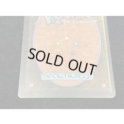 画像7: [PLD]Savannah《英語》【2ED】#278