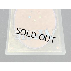 画像6: [PLD]Savannah《英語》【2ED】#278