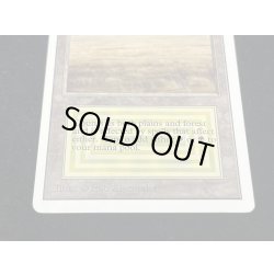 画像5: [PLD]Savannah《英語》【2ED】#278