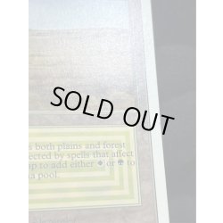 画像8: [PLD]Savannah《英語》【2ED】#278