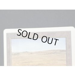 画像9: [PLD]Savannah《英語》【2ED】#278