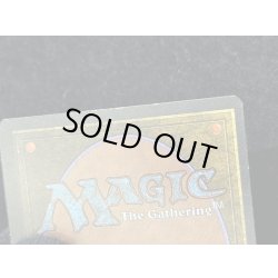 画像14: [PLD]Savannah《英語》【2ED】#278