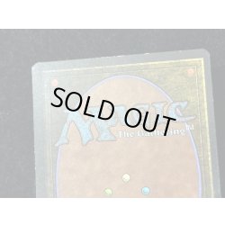 画像13: [PLD]Savannah《英語》【2ED】#278