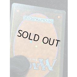 画像12: [PLD]Savannah《英語》【2ED】#278