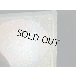 画像11: [PLD]Savannah《英語》【2ED】#278