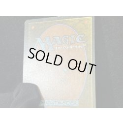 画像10: [PLD]Savannah《英語》【2ED】#278