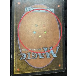 画像9: [HPLD]Plateau《英語》【2ED】#285