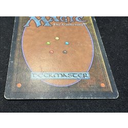 画像7: [HPLD]Plateau《英語》【2ED】#285