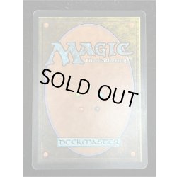 画像3: [PLD]森/Forest《英語》【Guru Lands】#49