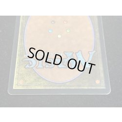 画像6: [PLD]森/Forest《英語》【Guru Lands】#49