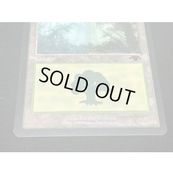 画像5: [PLD]森/Forest《英語》【Guru Lands】#49