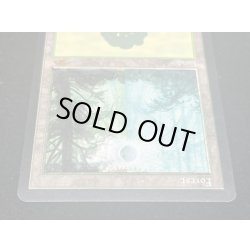 画像4: [PLD]森/Forest《英語》【Guru Lands】#49