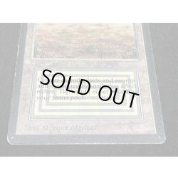 画像5: [HPLD]Scrubland《英語》【LEB】#53