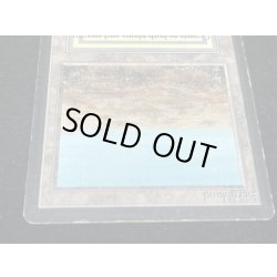 画像4: [HPLD]Scrubland《英語》【LEB】#53