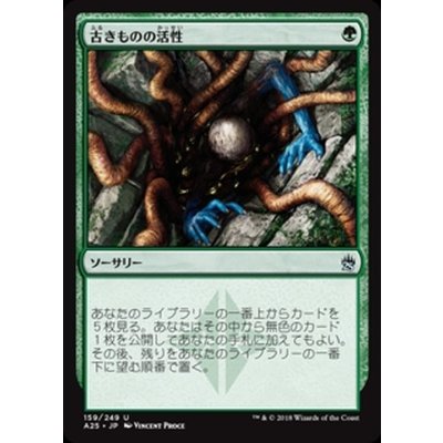 古きものの活性/Ancient Stirrings《日本語》【A25】