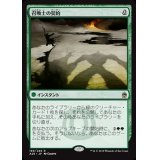 [EX+]召喚士の契約/Summoner's Pact《日本語》【A25】