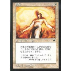 画像1: [PLD]暖気/Warmth《日本語》【TMP】